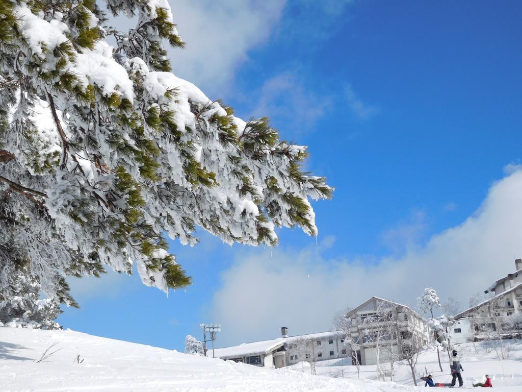 Madarao Elm Pension Iiyama Extérieur photo