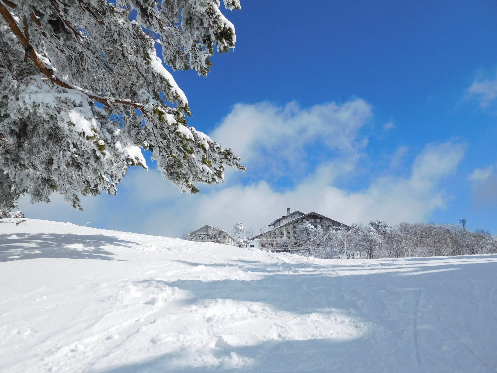 Madarao Elm Pension Iiyama Extérieur photo